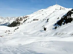 Alpenhaus am Kitzbueheler Horn