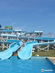 Turtle Tide Water Slides