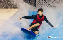 Wave Surf Café