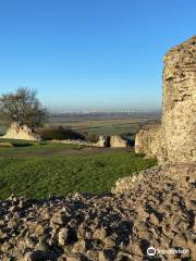 Hadleigh Castle