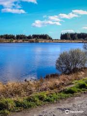 Llyn Llech Owain Country Park