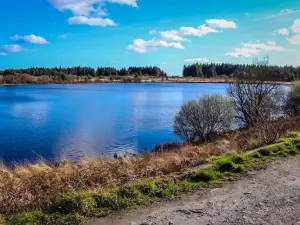 Llyn Llech Owain Country Park