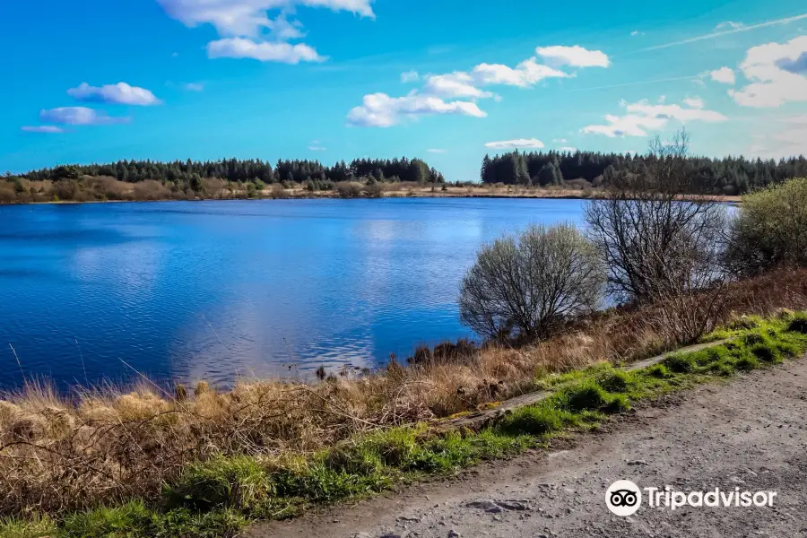 Llyn Llech Owain Country Park