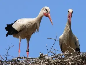 NaturZoo Rheine