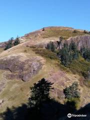 Saddle Mountain State Natural Area