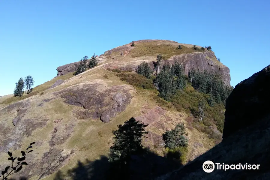 Saddle Mountain State Natural Area