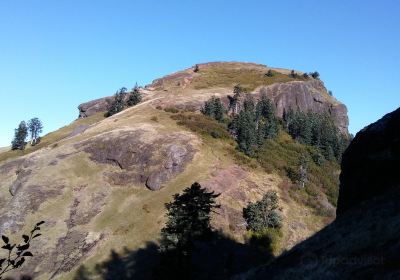 Saddle Mountain State Natural Area