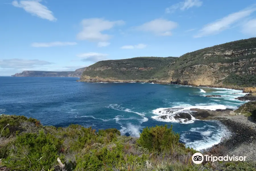 Mount Brown and Crescent Bay Walking Track