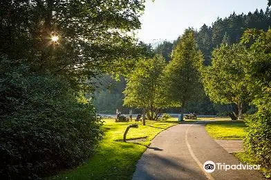 Alpha Lake Park