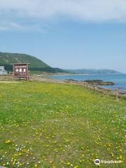 Usutaibe Senjoiwa Camp Site