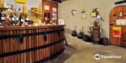 Domaine du Pressoir Fleuri