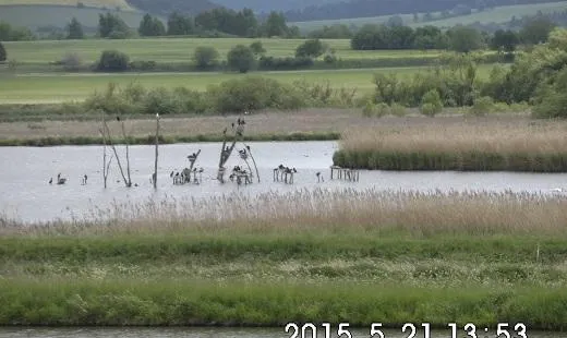 Naturschutzgebiet Rähden