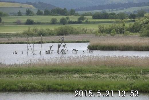 Naturschutzgebiet Rähden