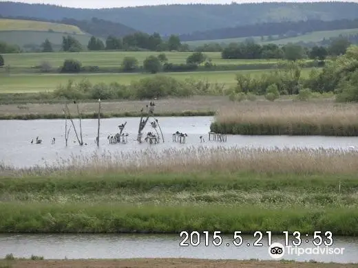 Naturschutzgebiet Rähden