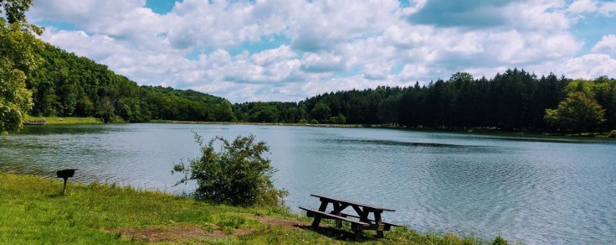 Twin Lakes Park