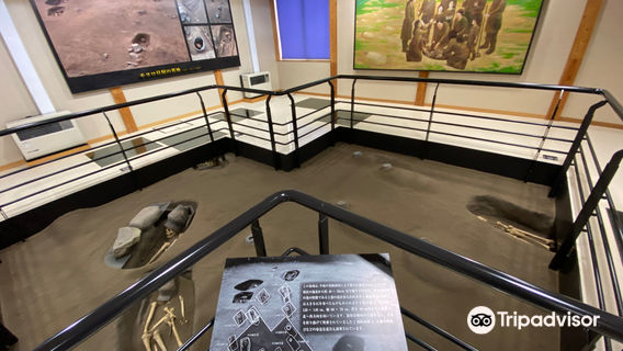 Moyoro Shell Mound Museum