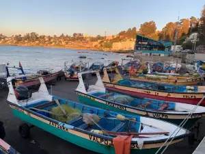 Caleta Higuerillas