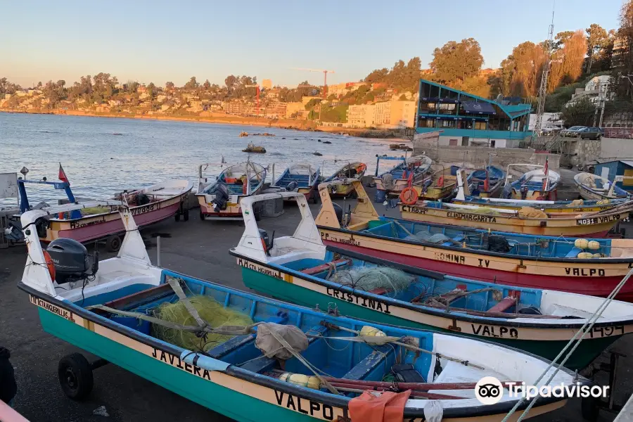 Caleta Higuerillas