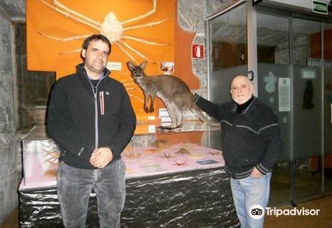 HONTZA MUSEOA FUNDAZIOA