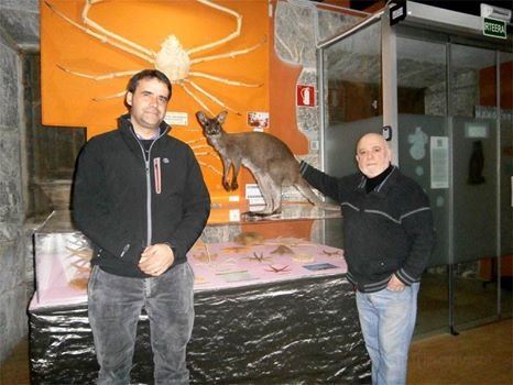 HONTZA MUSEOA FUNDAZIOA