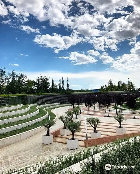 Krasnodar Stadium