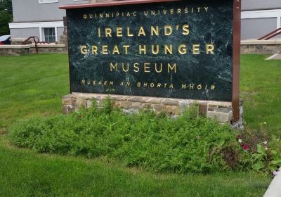 Ireland's Great Hunger Museum