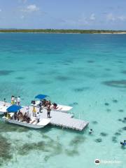 Stingray City Antigua