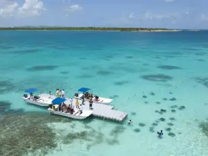 Stingray City Antigua