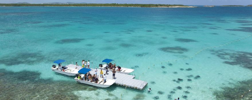 Stingray City Antigua