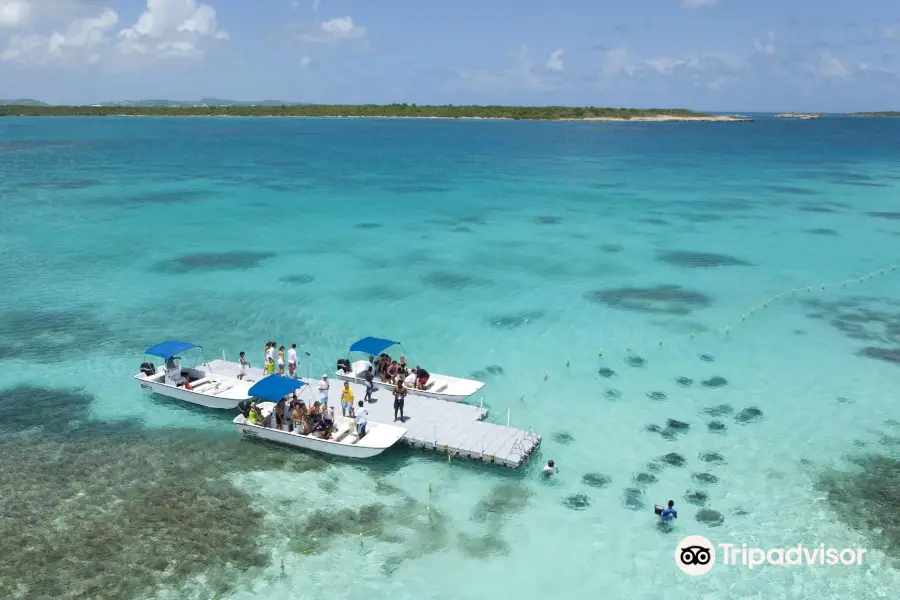 Stingray City