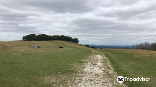 Chanctonbury Ring