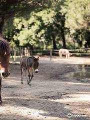 ナトゥラーレ・ディ・チェルビア公園