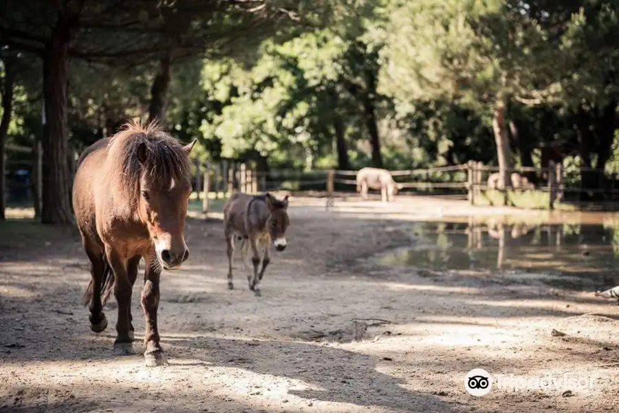 Parco Naturale di Cervia