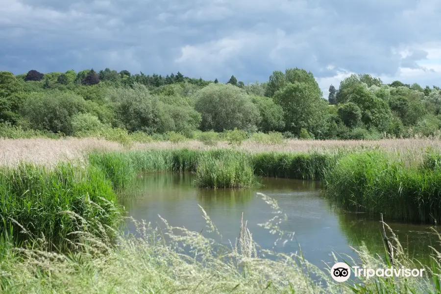 Amwell Nature Reserve