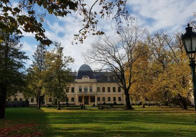 Gyula castle