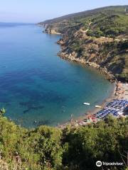 Spiaggia di Calamoresca