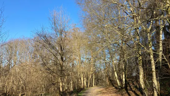 Eridge Rocks Nature Reserve