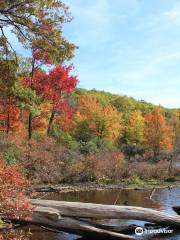 Black Rock Forest Consortium