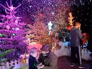 Webbs Garden Centre - Hagley