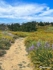 Charmlee Wilderness Park