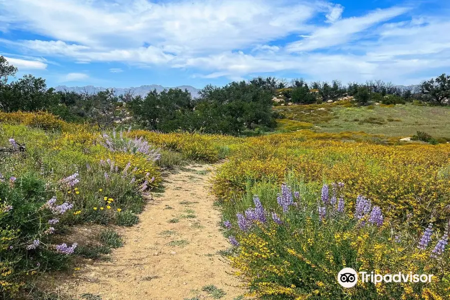 Charmlee Wilderness Park