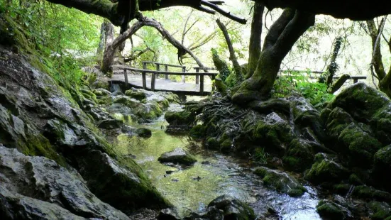 Vevchani Springs