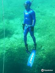 AegeanSeals Diving Center