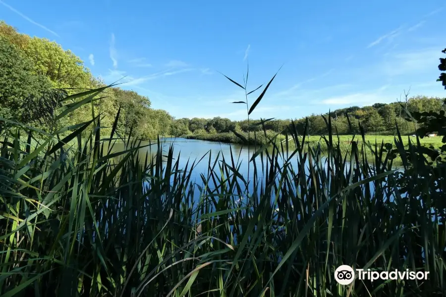 Landgoed Oostbroek