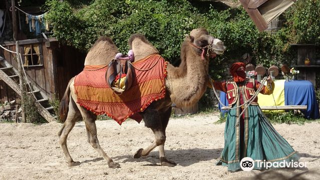 The Legend of the Knights show Equestrio