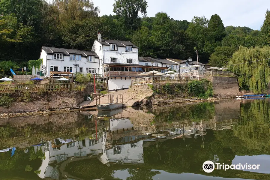 Kingfisher Cruises Symonds Yat