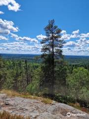 Naturreservatet Skurugata & Skuruhatt