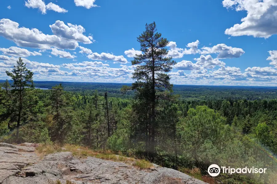 Naturreservatet Skurugata & Skuruhatt