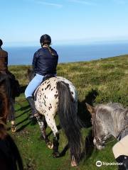 Exmoor Experience