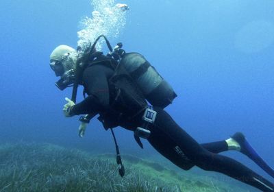 Kisamos diving center